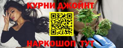 сатива Можга