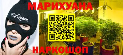 сатива Можга