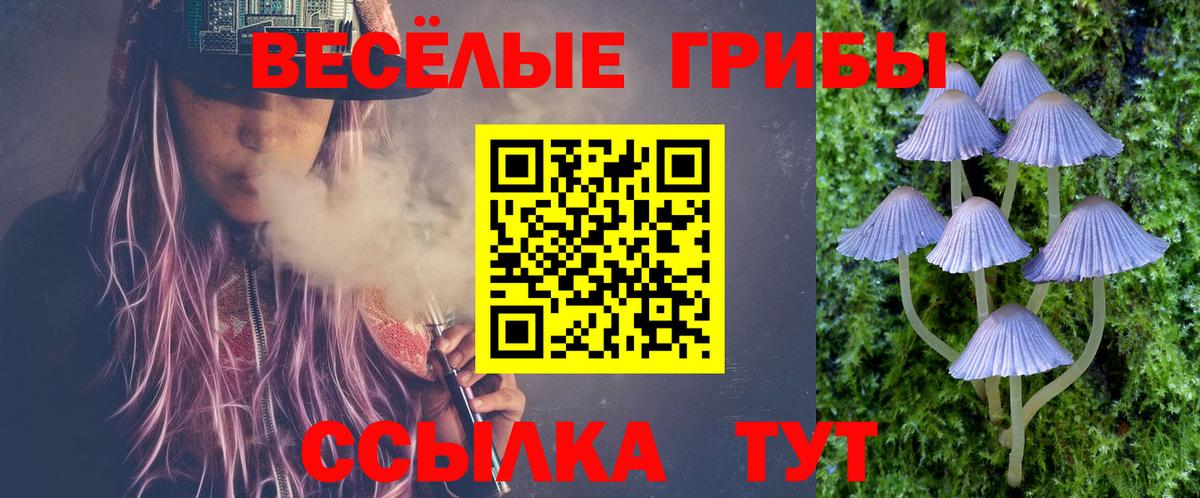 Псилоцибиновые грибы Psilocybe Амурск